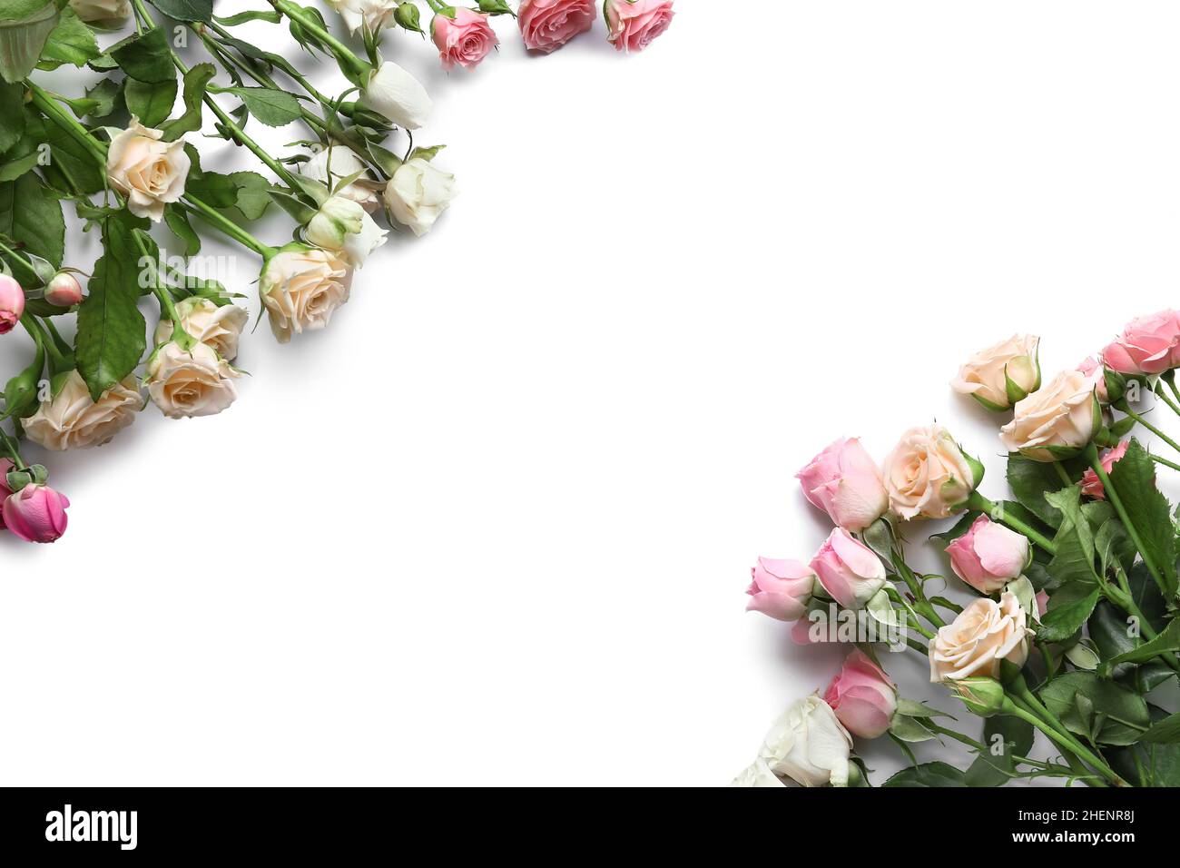 Different beautiful roses on white background Stock Photo - Alamy