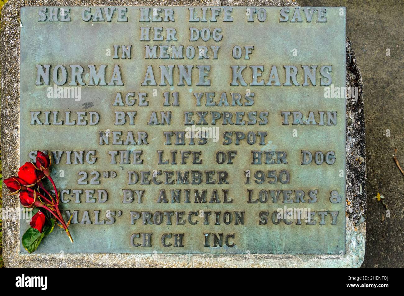 Plaque for the tragic death of Norma Anne Kearns age 11 years killed by train saving the life of her dog 22 December 1950. Oamaru New Zealand Stock Photo