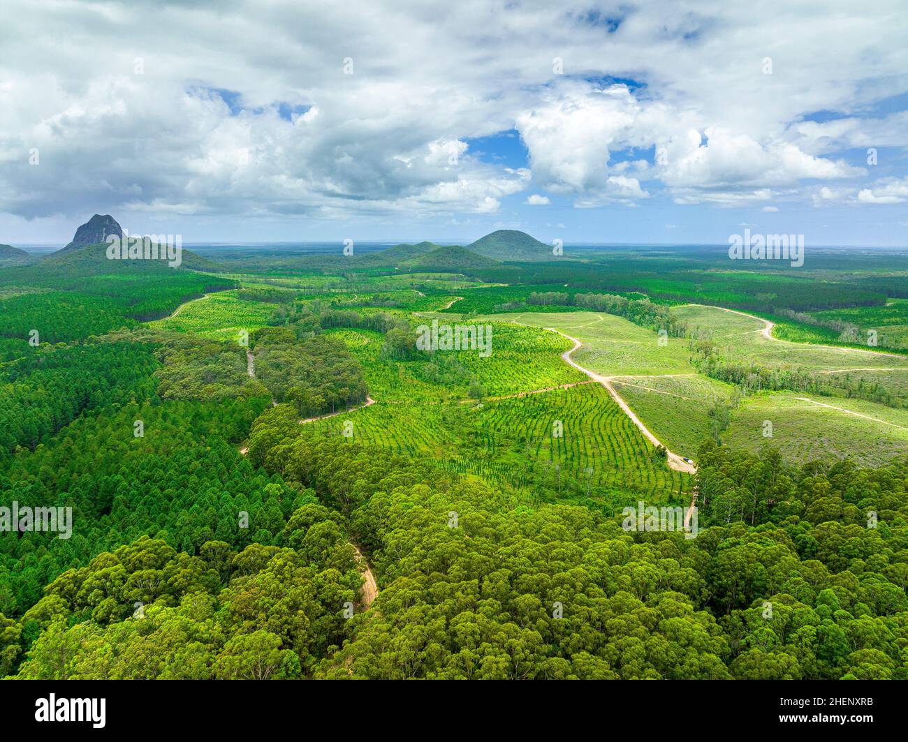 Aerial view of the Glass House Mountains in the Sunshine Coast. Beerwah, Queensland, Australia