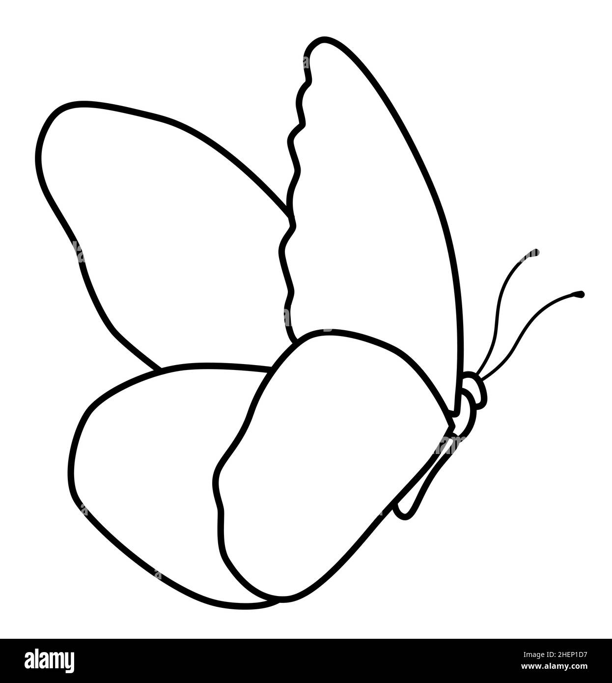 Butterfly Coloring Pages Cut Out Stock Images & Pictures   Alamy