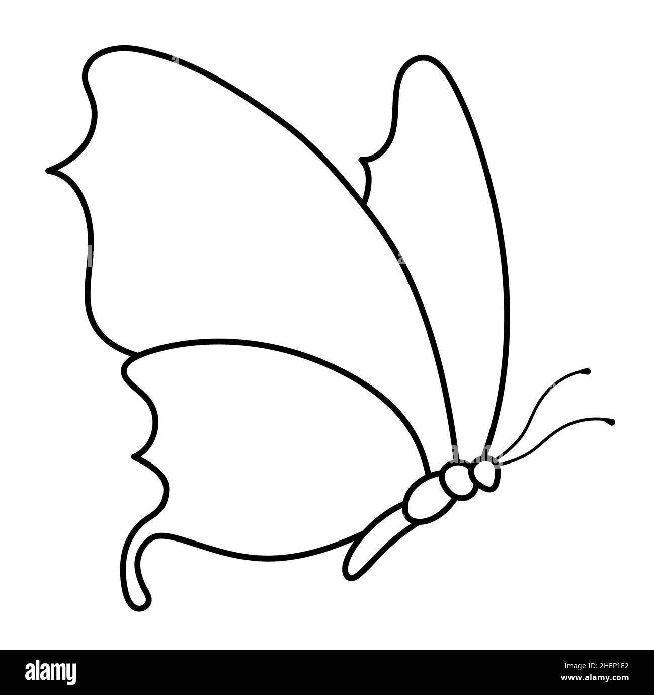 page 2 butterfly coloring pages high resolution stock photography and images alamy