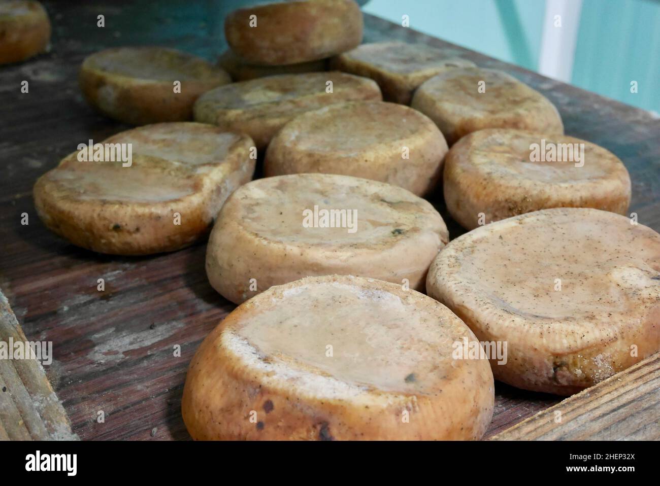 Close up of traditional Corsican sheep cheese loafs on wooden tray. Stock Photo