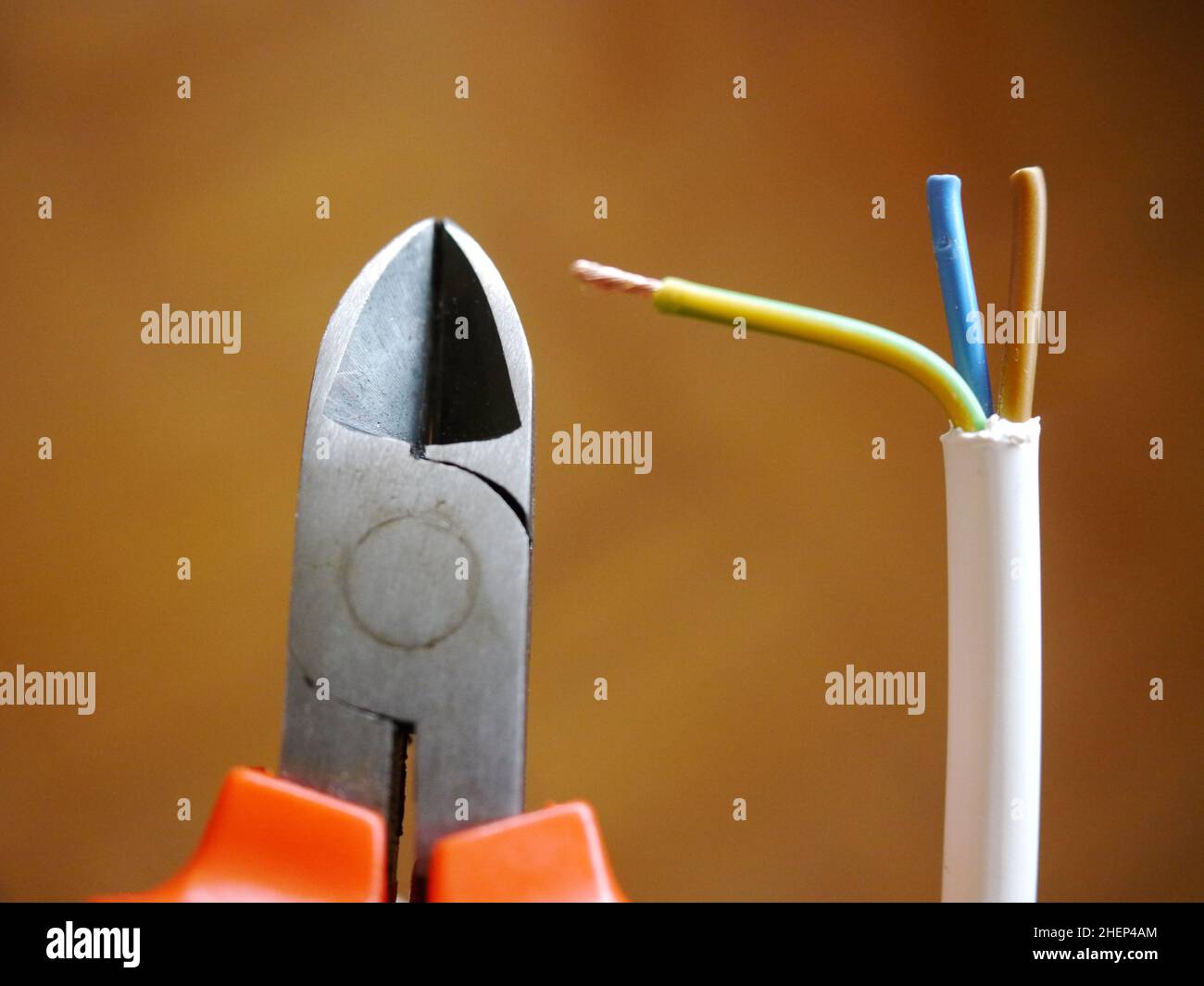 Wire Cutter And Wire Stock Photo Alamy