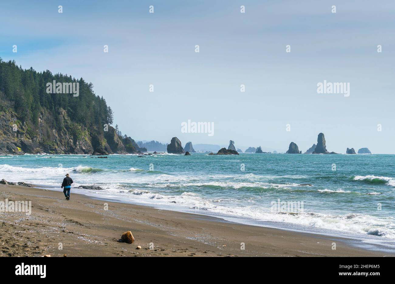 Second beach at mt. Olympic national park,Washington,usa. Stock Photo