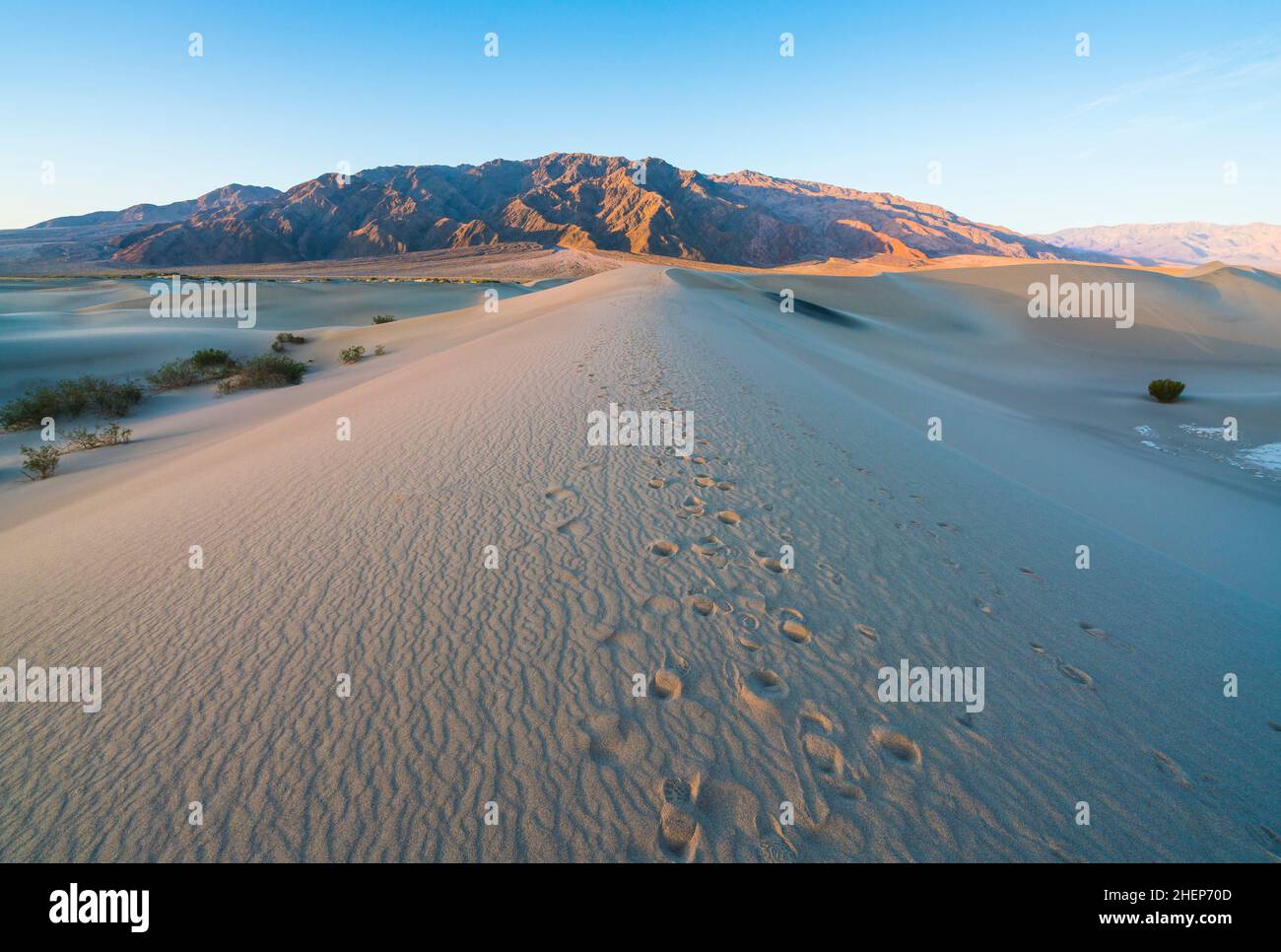 beautiful landscape of Mesquite Flat Sand Dunes. Death Valley National ...