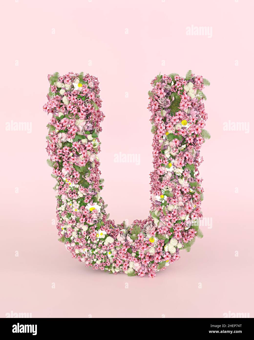 flowers alphabet letter u Stock Photo - Alamy
