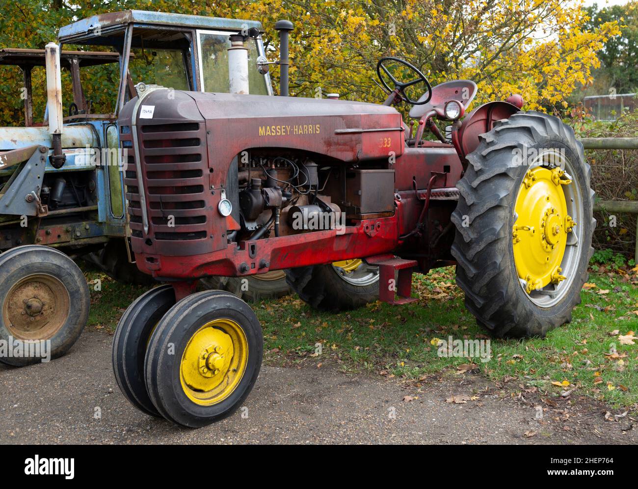 Vintage 1956 MasseyHarris 333 tractor on display at an auction