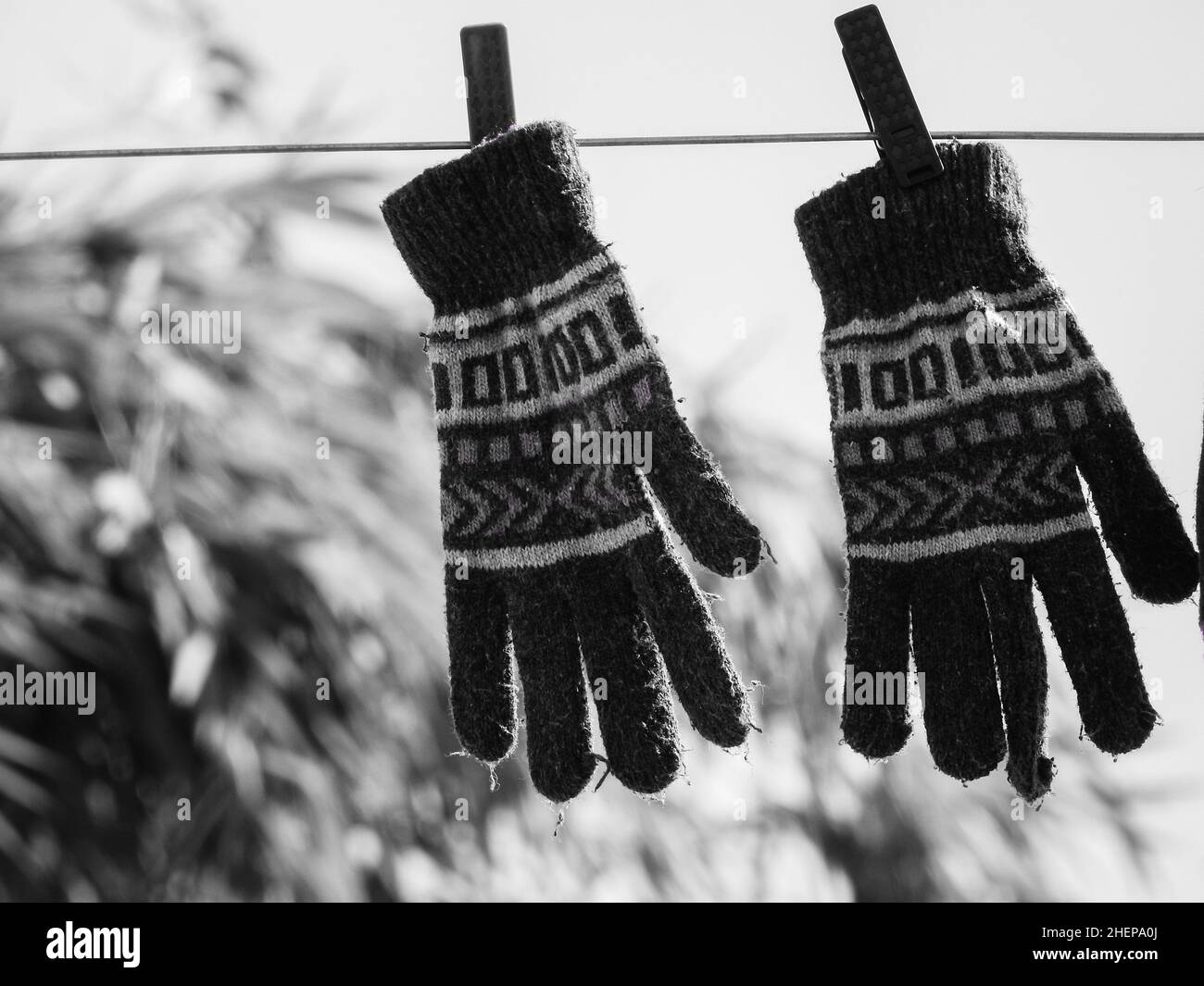 A black and white shot of woolen gloves hanging on a wire outside. Stock Photo