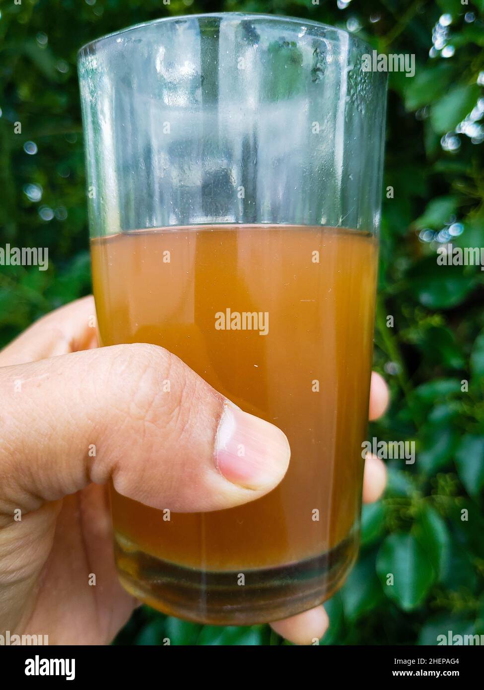 A hand holding a glass of green tea with green leaves in the background Stock Photo