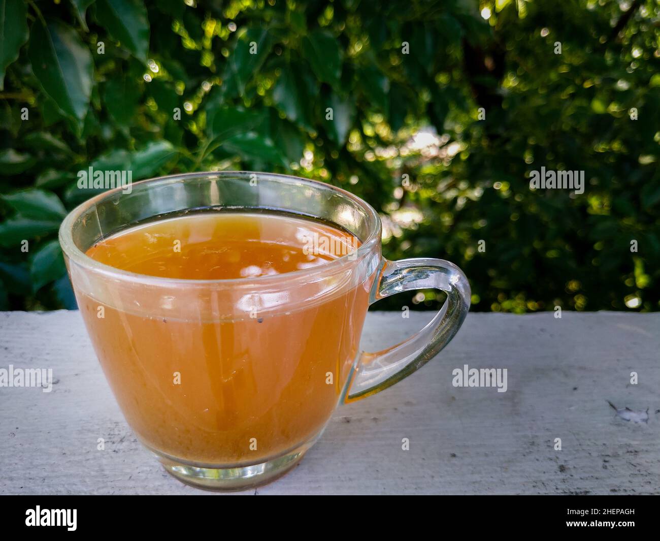 An isolated cup of green tea in a transparent cup with green trees in the background Stock Photo