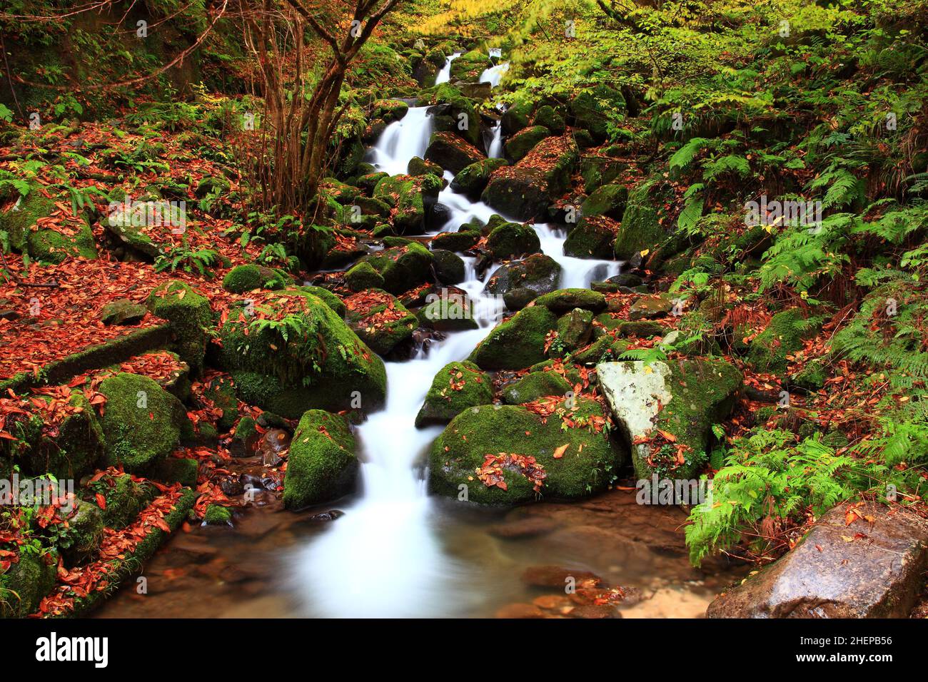 Tottori City, Tottori Prefecture Stock Photo Alamy
