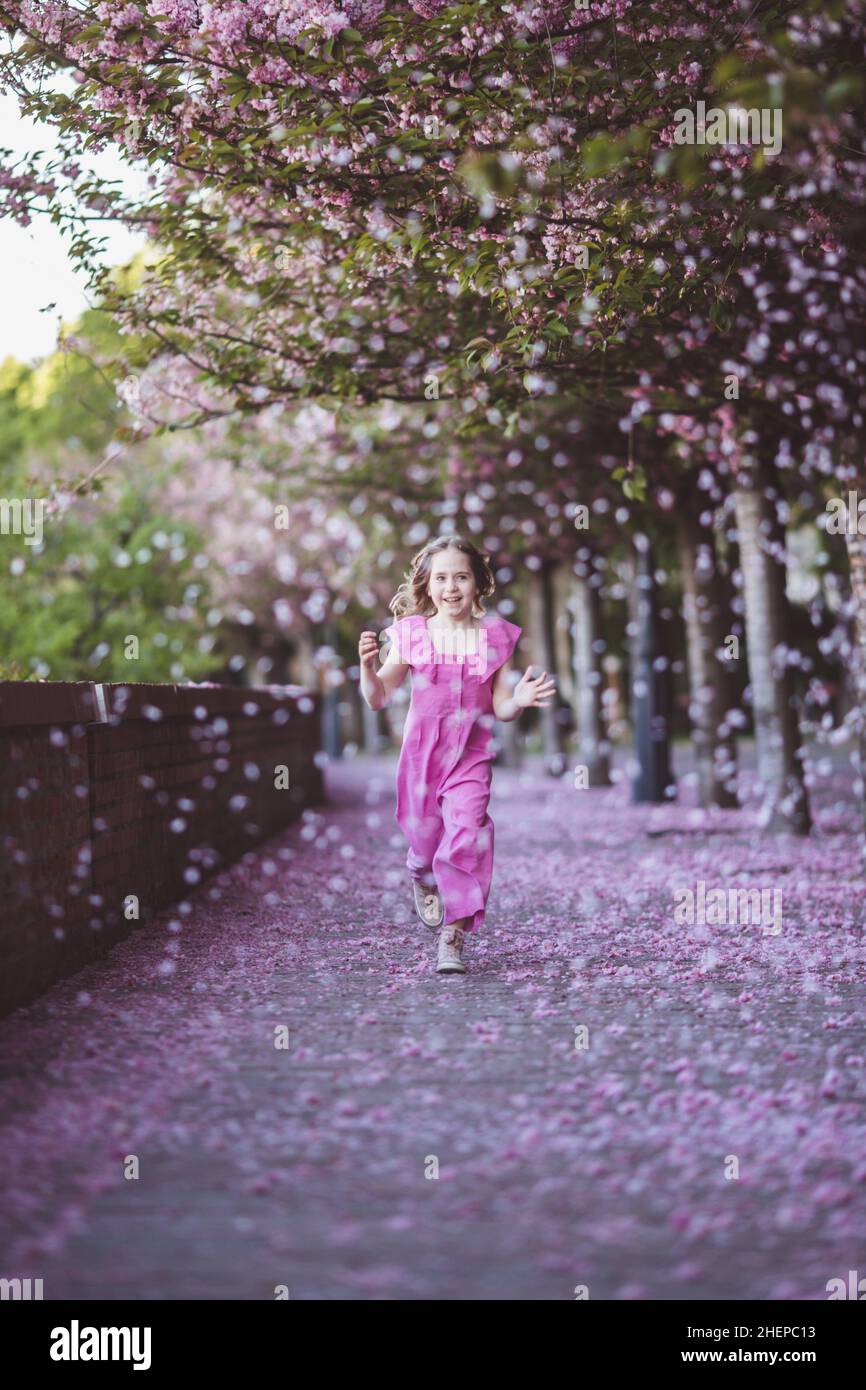 Beautiful girl in pink dress in cherry blossom park on a spring day ...