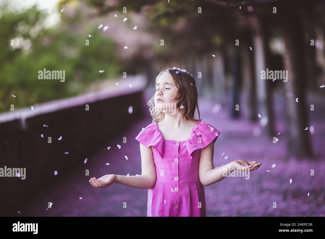 Beautiful girl in pink dress in cherry blossom park on a spring day ...