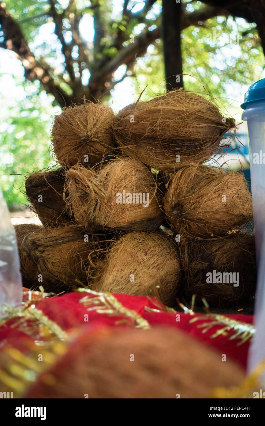Coconuts in temple. Coconut represents Hindu trinity of Brahma , Vishnu