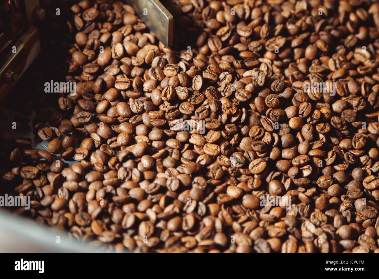 Roasted coffee beans after roasting mixing around on cooling plate of oven. Industrial beans
