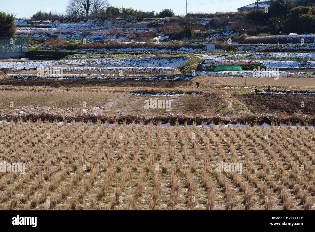 Field covered with snow, Isehara City, Kanagawa Prefecture, Japan. Stock Photo