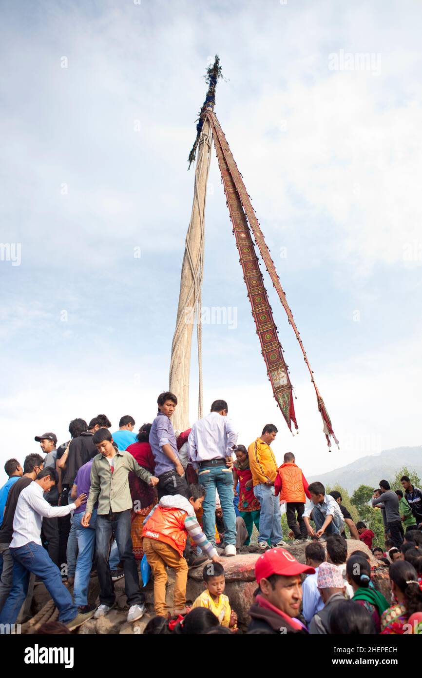 Erection of lingo in preparation of the Tipwa Jatra tug of war event in Bhaktapur's Nepali New Year festivities. Stock Photo