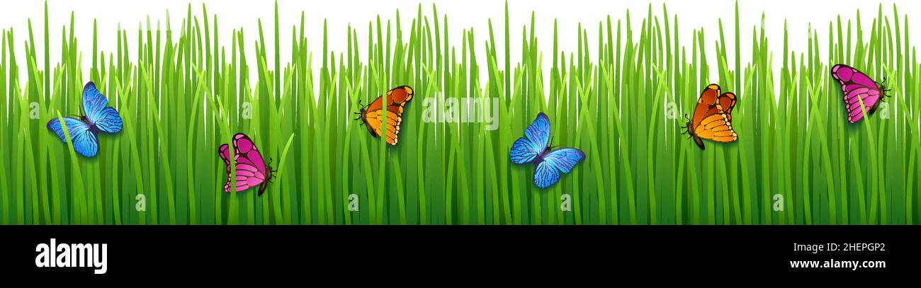 Green grass field with butterflies. Meadow seamless border Stock Vector ...