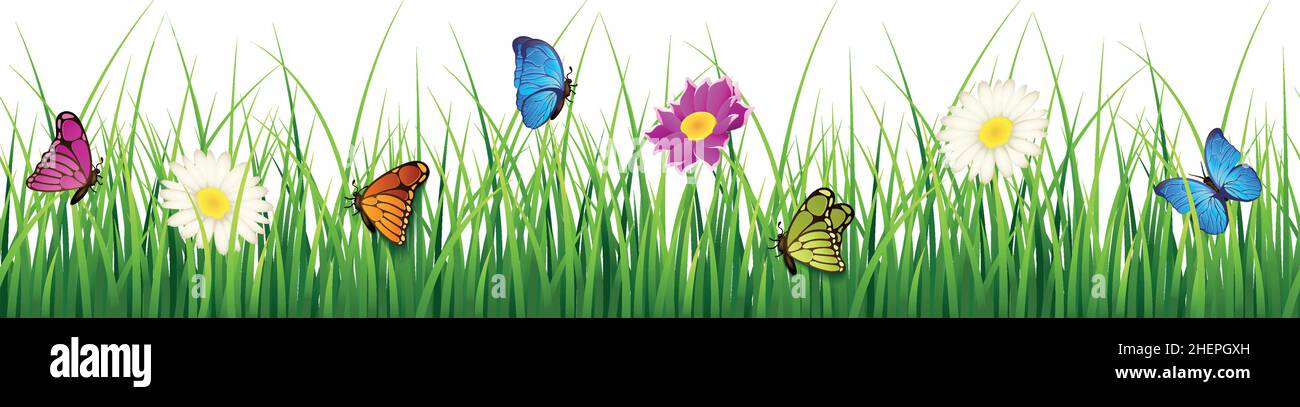 Meadow grass with flowers and butterflies. Decorative seamless border ...