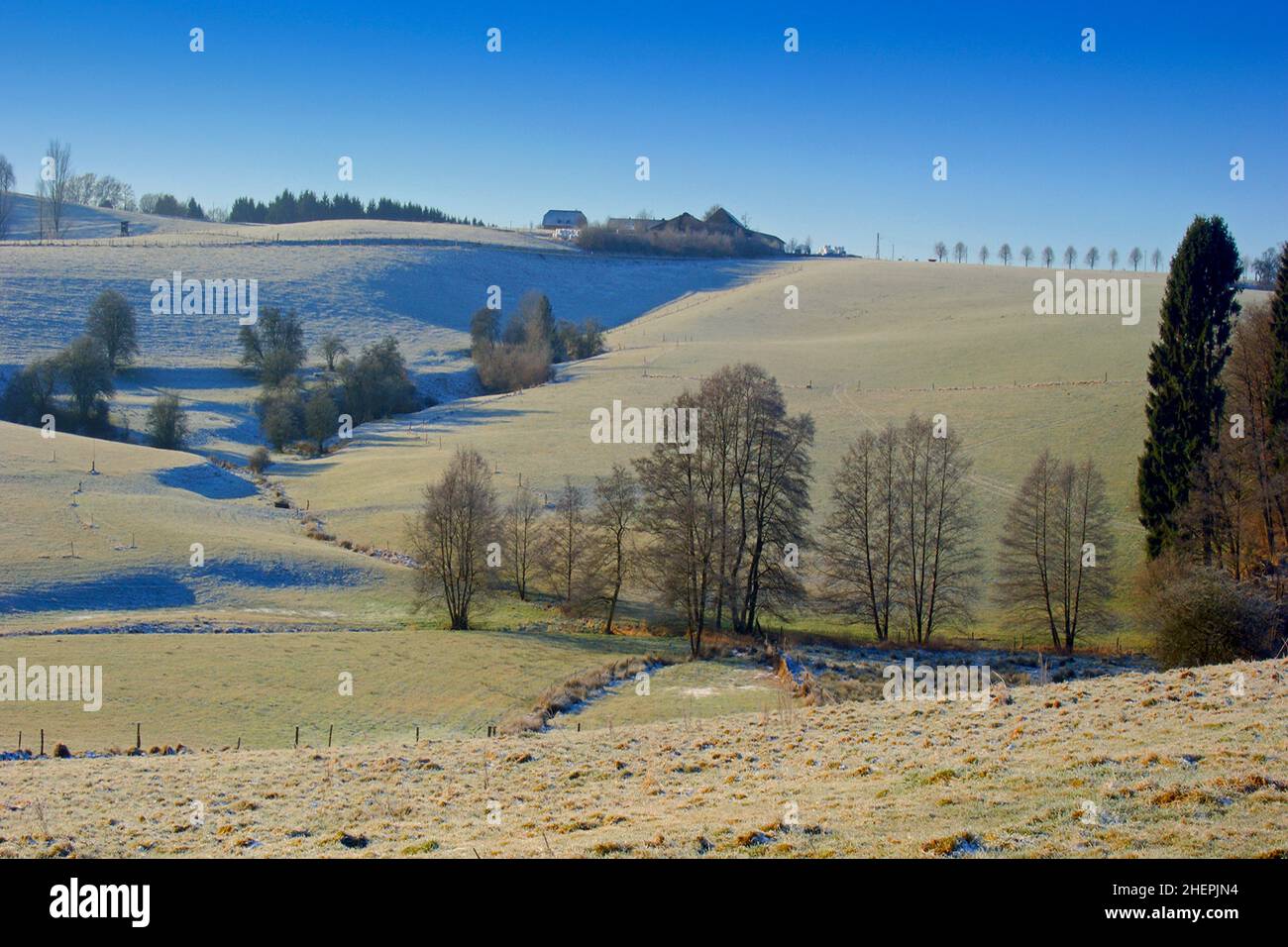 hilly meadow landscape at the onset of winter, Germany, North Rhine-Westphalia, Bergisches Land, Lindlar Stock Photo