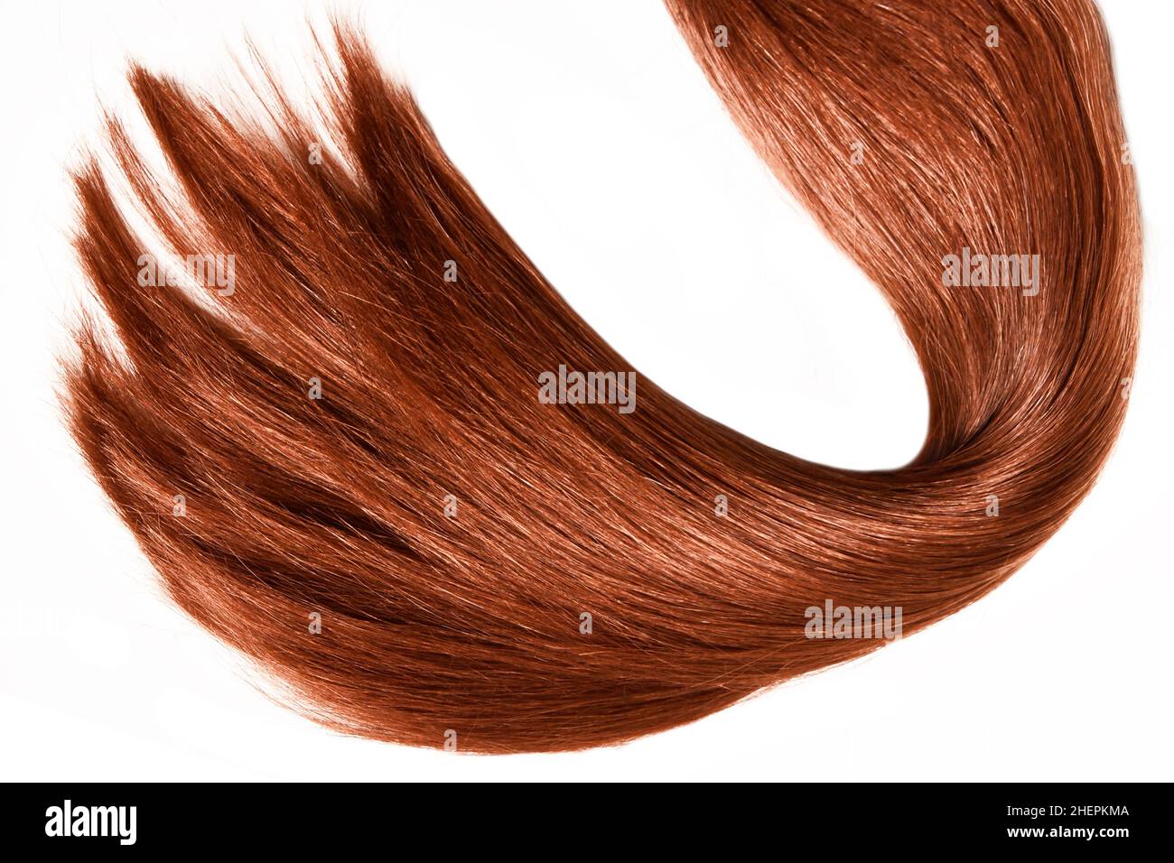 Brown red hair natural , isolated on white background , beauty Stock Photo
