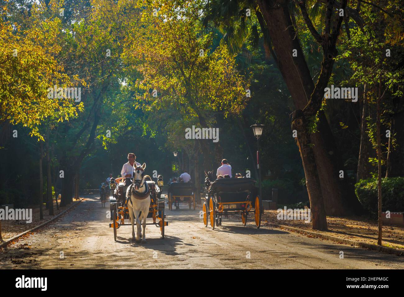 Seville, Seville Province, Andalusia, southern Spain.  Horse and carriage ride in Parque Maria Luisa. Stock Photo