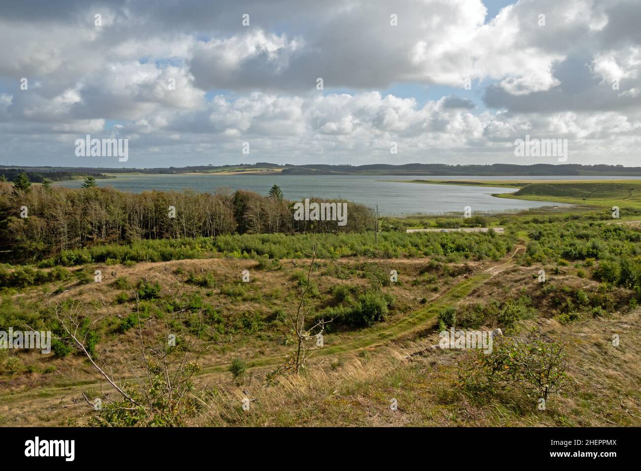 Landscape in Denmark Tved Klitplantage with lake Nors So in Denmark Stock Photo