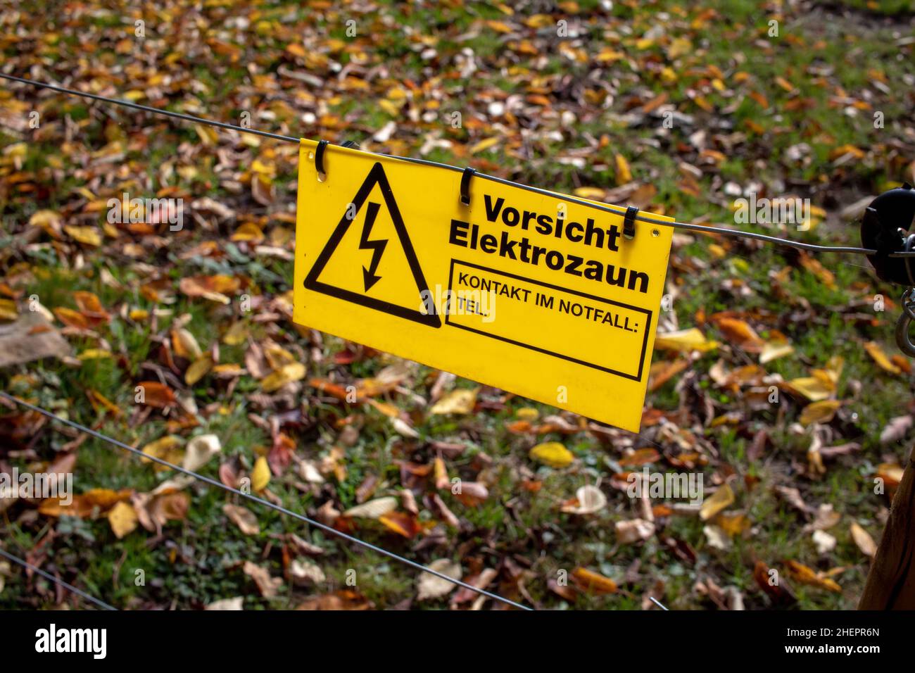 Electric fencing with warning sign an warning Text caution electric fence in German language around a pasture for farm animals Stock Photo