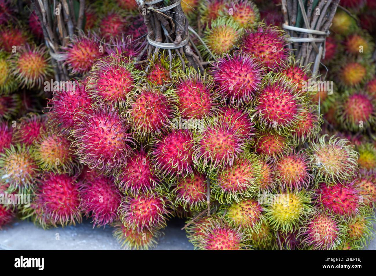 Rambutan (Nephelium lappaceum) is a medium-sized tropical tree in the family Sapindaceae. The name also refers to the edible fruit produced. Stock Photo