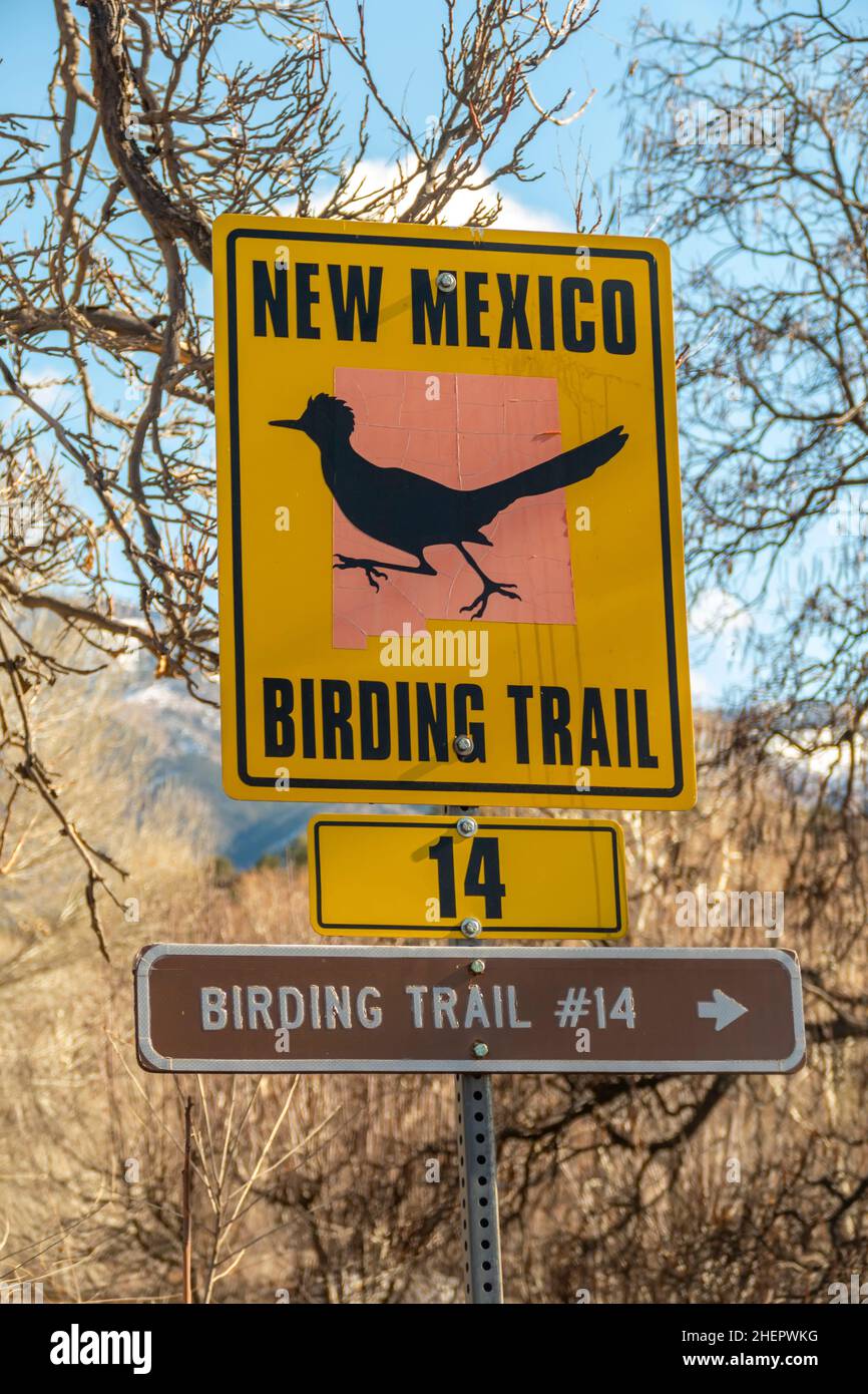 yellow Roadrunner crossing sign on Birding Trail, New Mexico, USA Stock