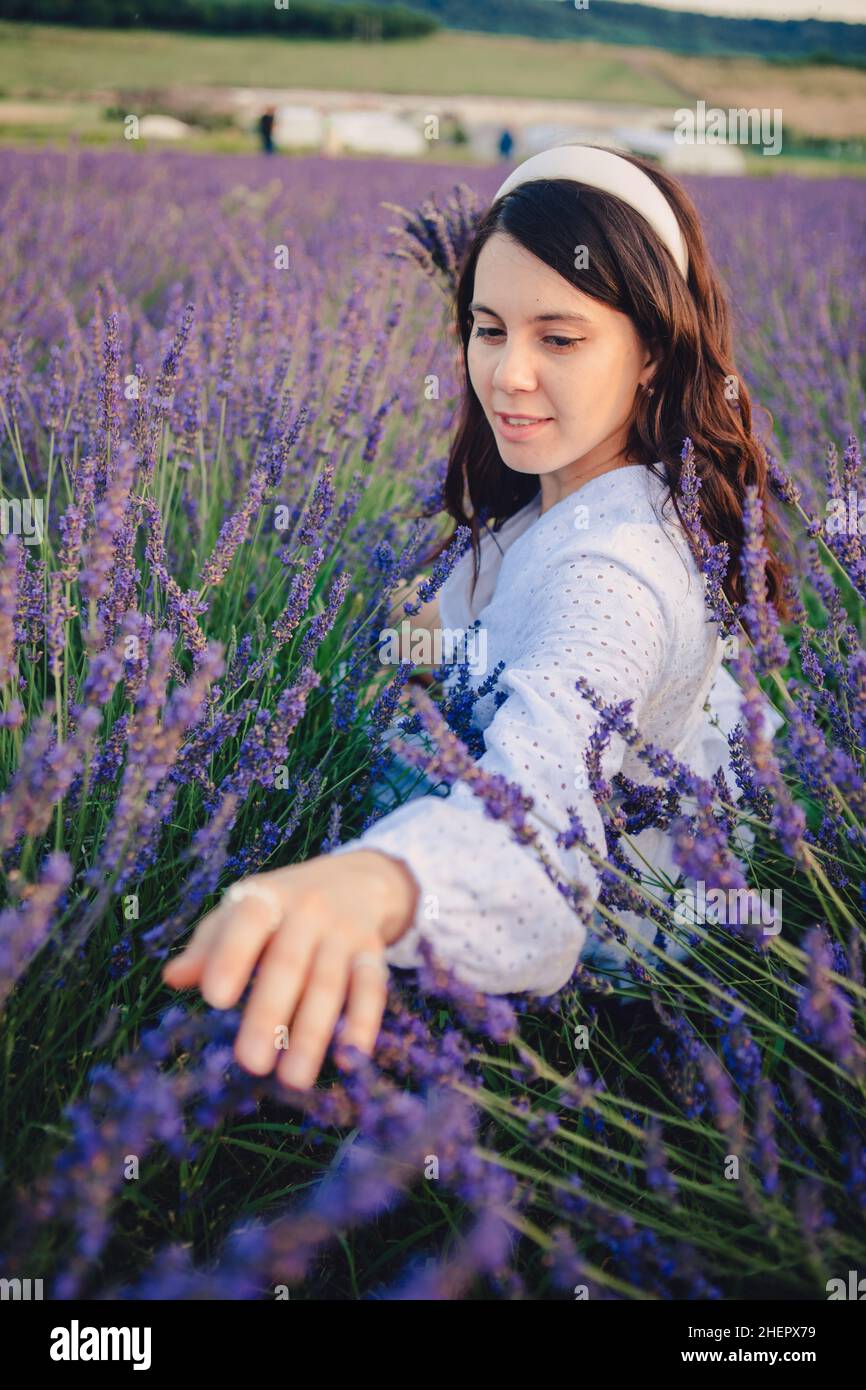 gorgeous woman in white dress at lavender field sunset time Stock Photo ...