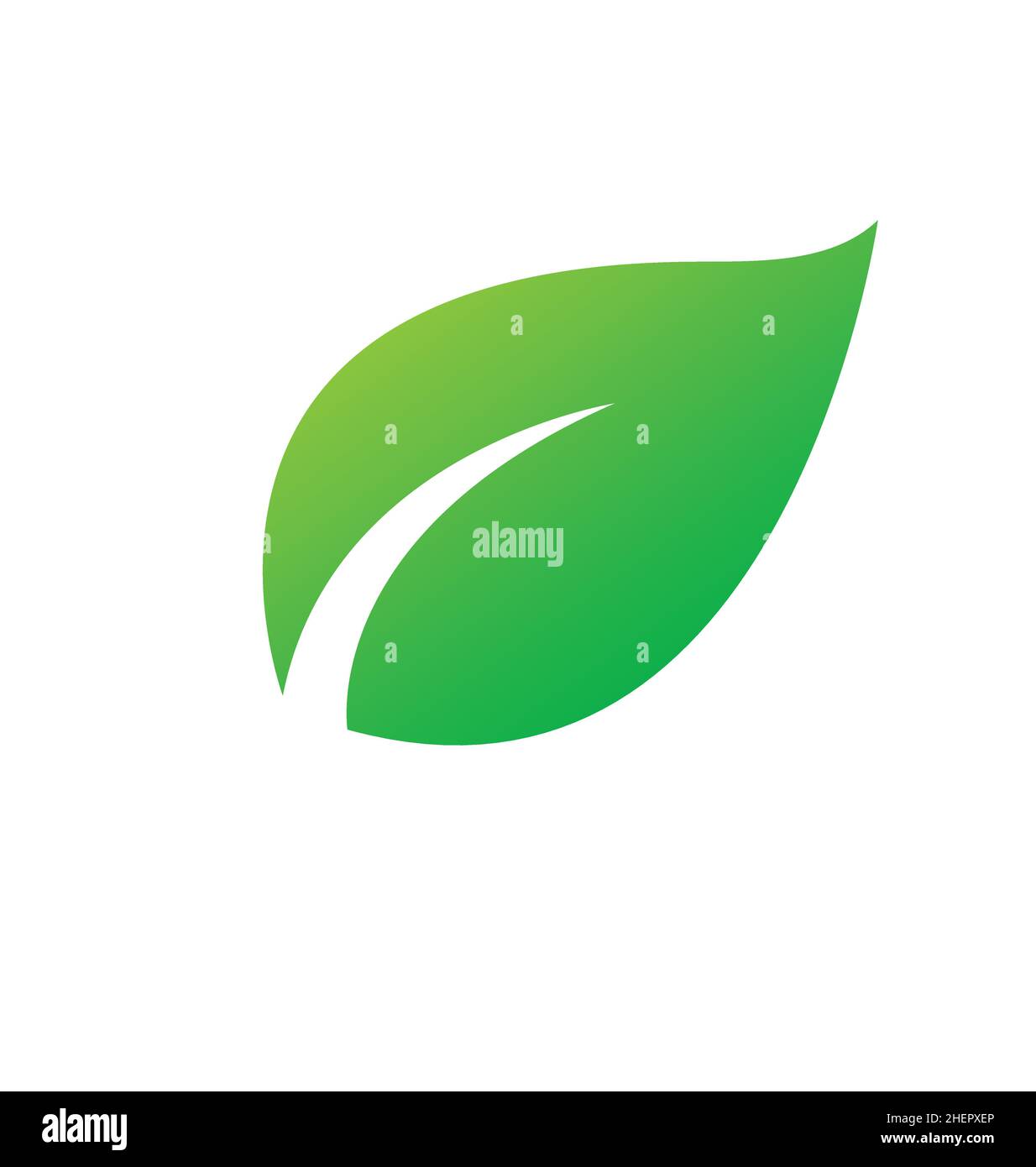 single stylized lush green leaf icon vector isolated on white background Stock Vector