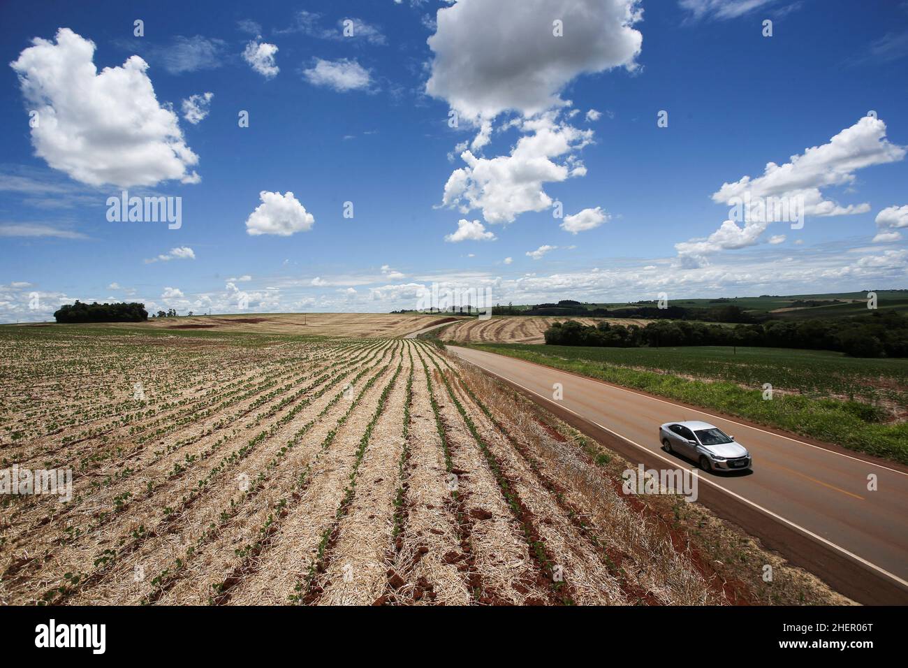 Brazil soy plantation drought hi-res stock photography and images - Alamy