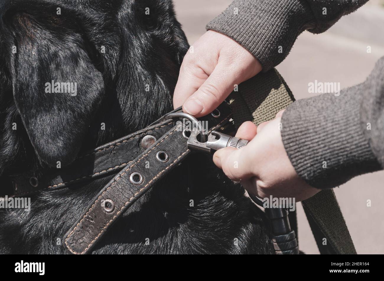 Closeup of a woman's hands fastening an unbreakable carabiner to her