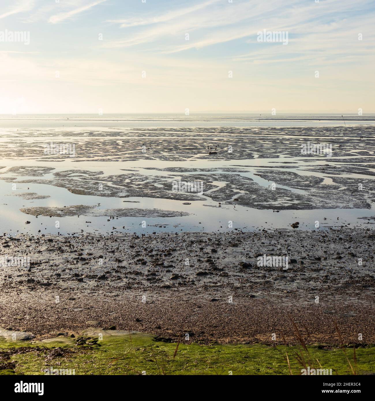 Receding Tide at Chalkwell on Thames Estuary During a Bright and Sunny January Morning Stock Photo