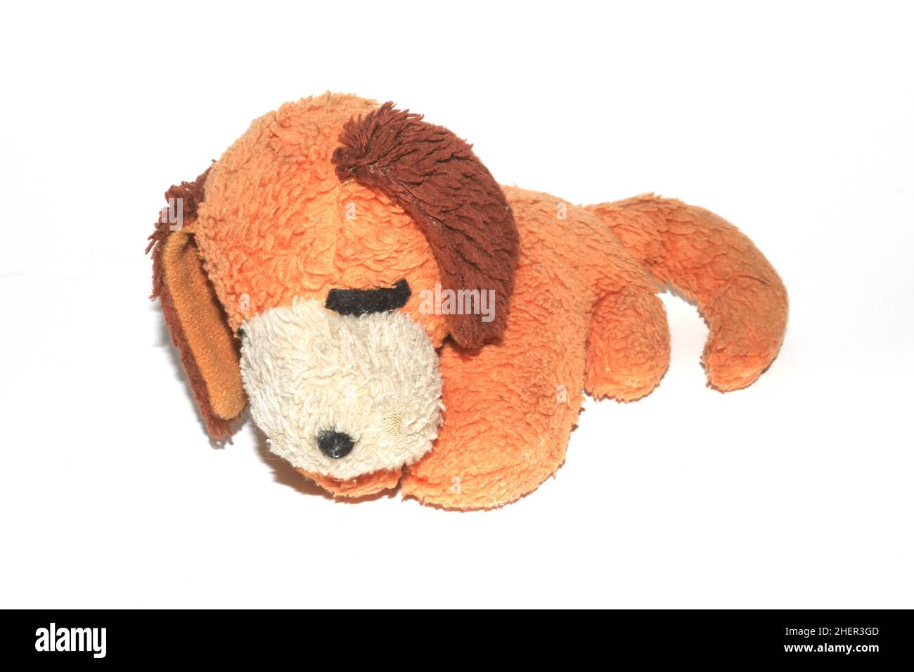 Dog sleeping Cut Out Stock Images & Pictures - Alamy