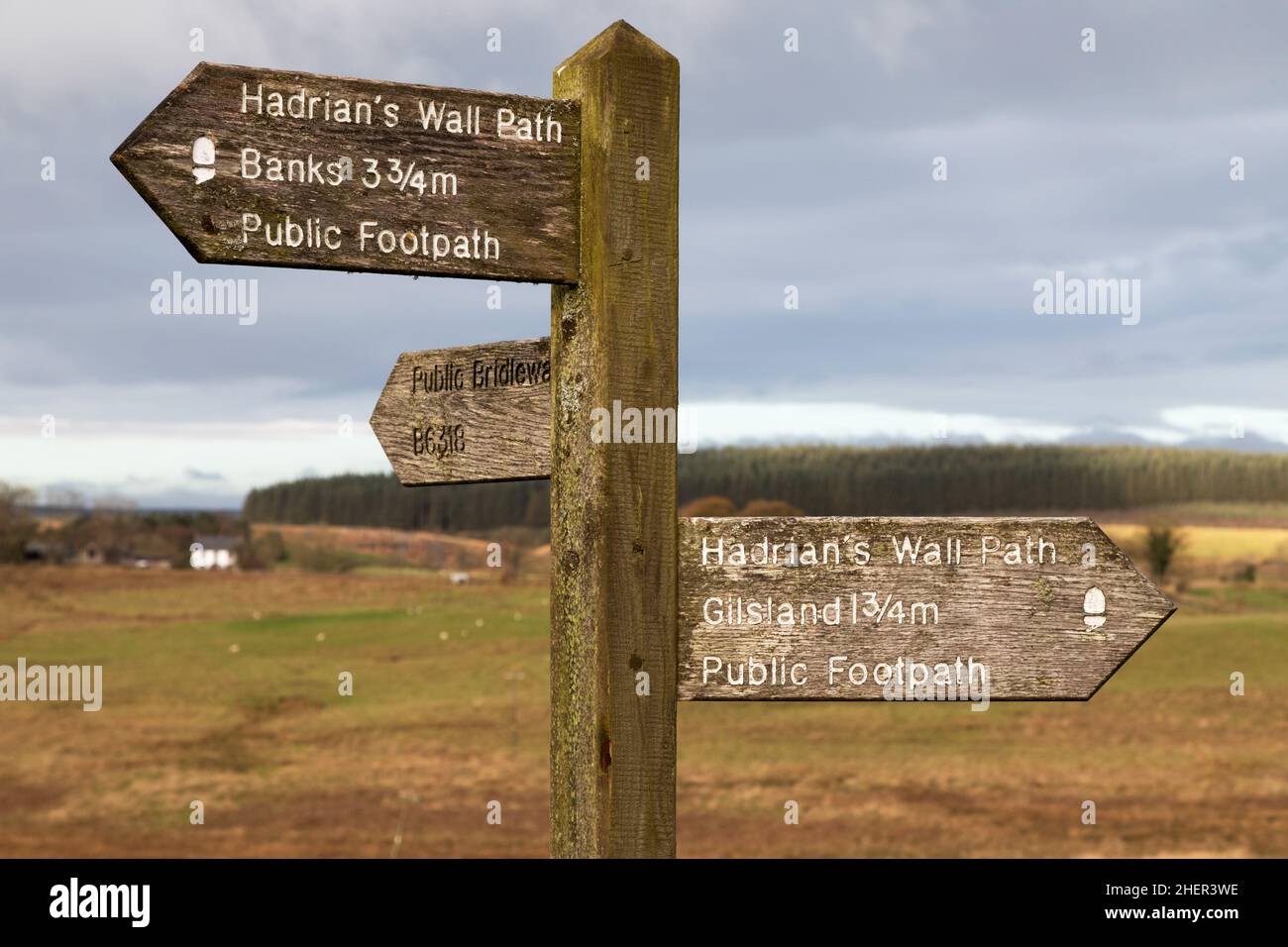 Signpost for Hadrian's Wall Path at Birdoswald in Cumbria, England. The footpath runs alongside Hadrian's Wall. Stock Photo