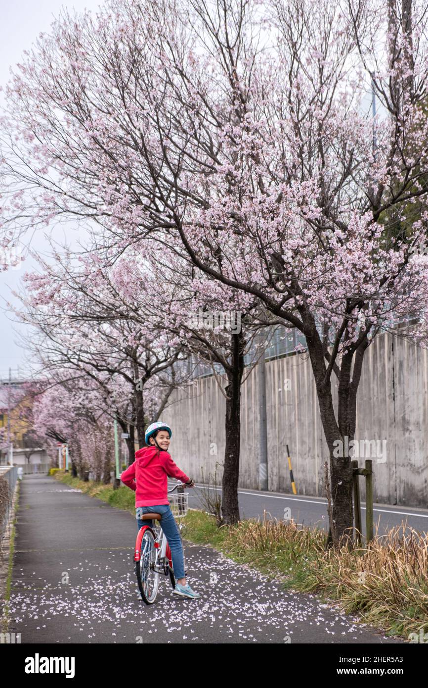 Preteen girl on a bicycle standing under a blooming sakura cherry blossom tree and looking over her shoulder. Springtime. Stock Photo