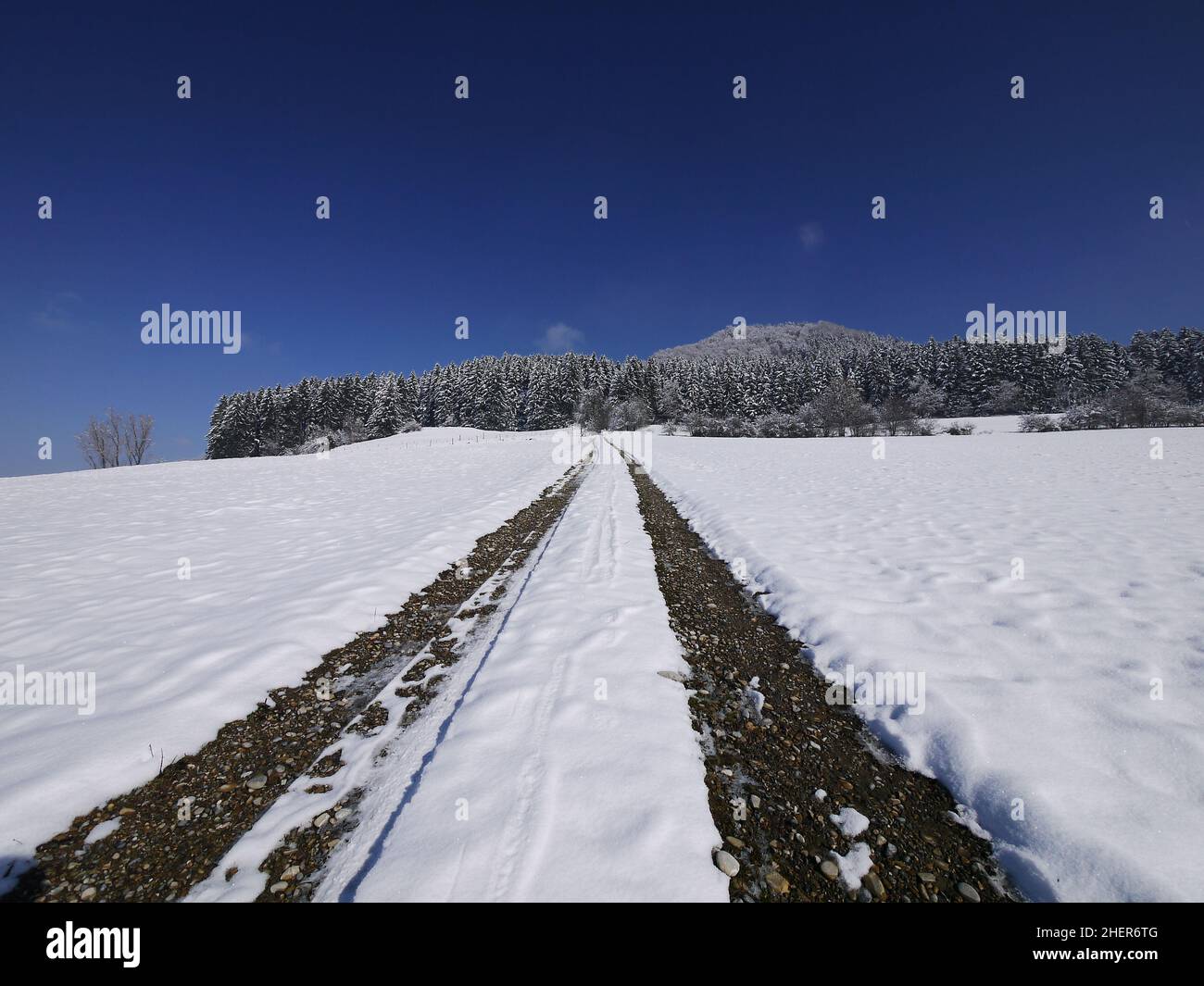 beautiful snowy landscape Stock Photo