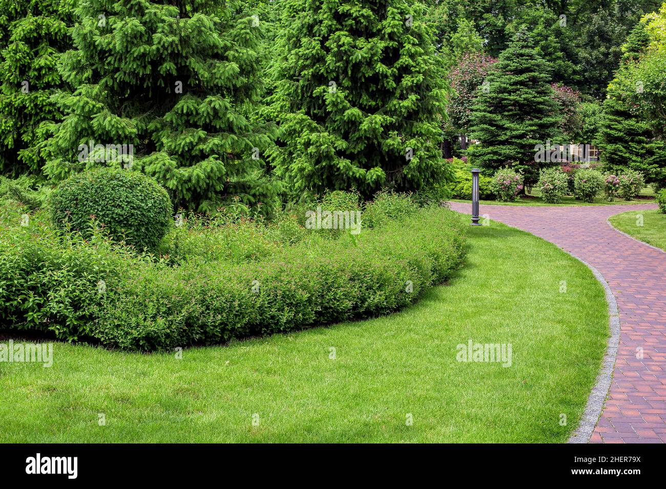 dense pine park with thorny trees and foliage bushes with green grass park landscape with ground lantern near stone tile walkway and green grass, park Stock Photo