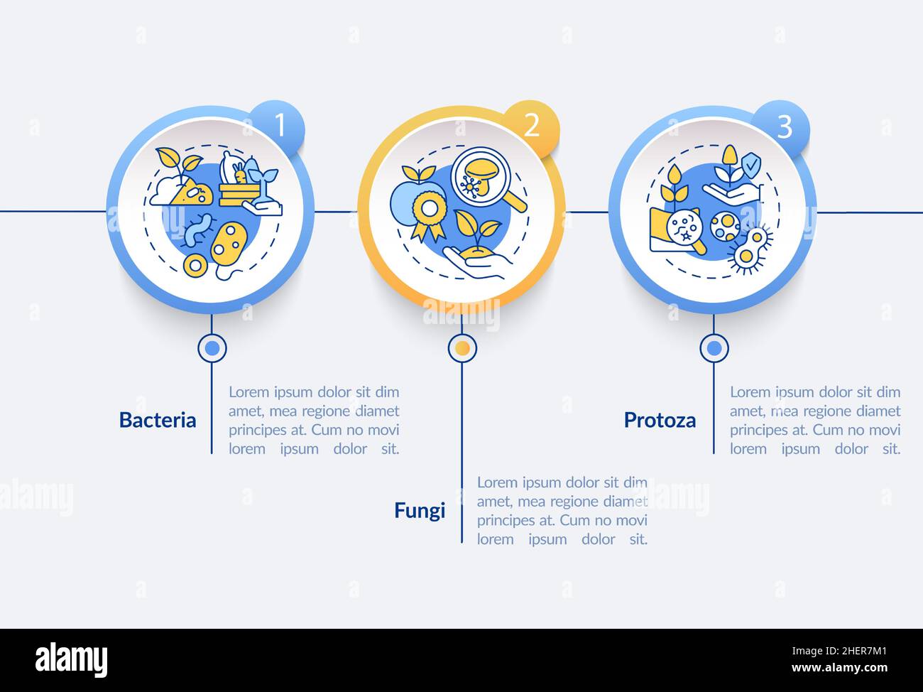 Microorganisms in agriculture circle infographic template Stock Vector