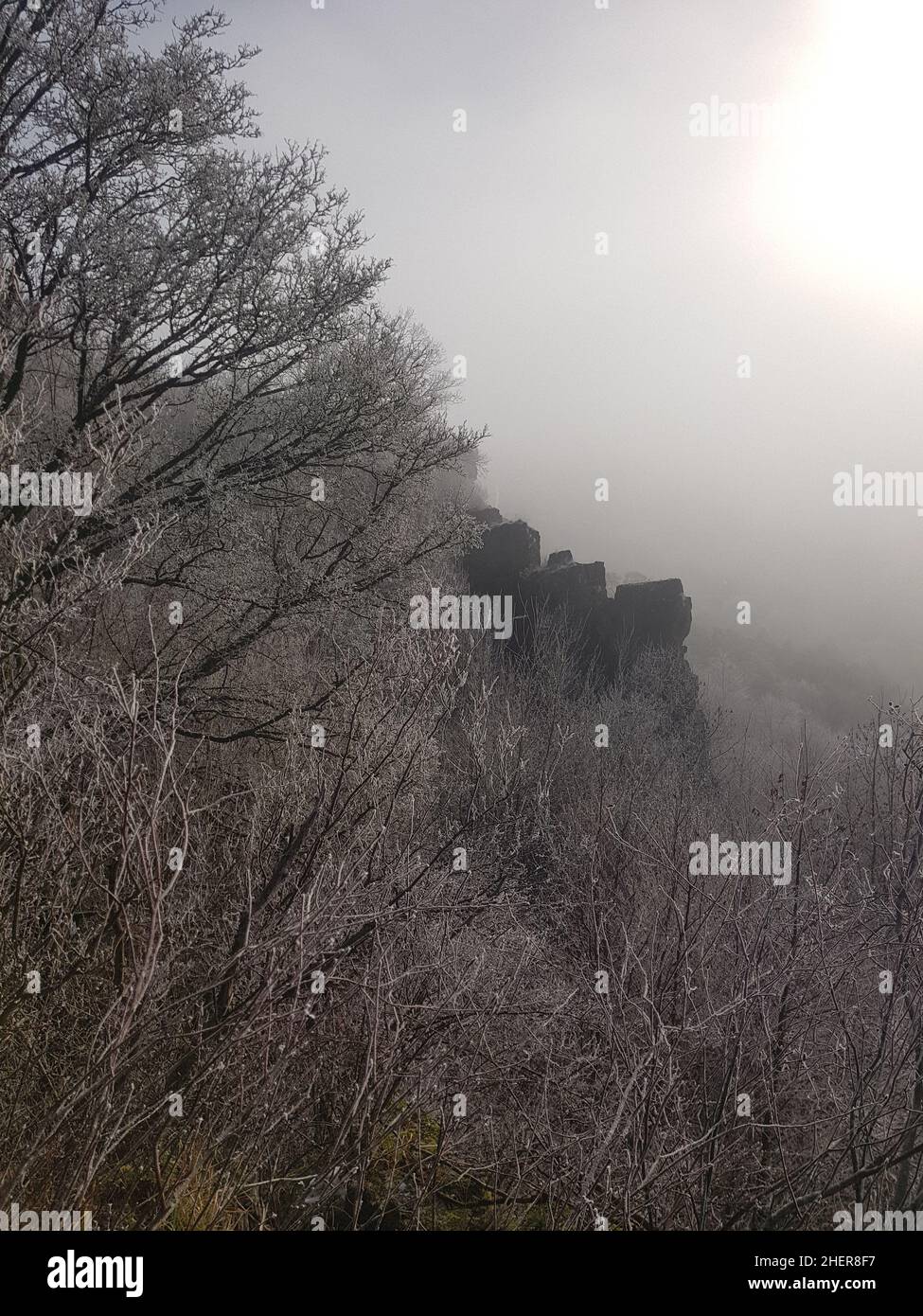 View into a foggy valley in winter Stock Photo