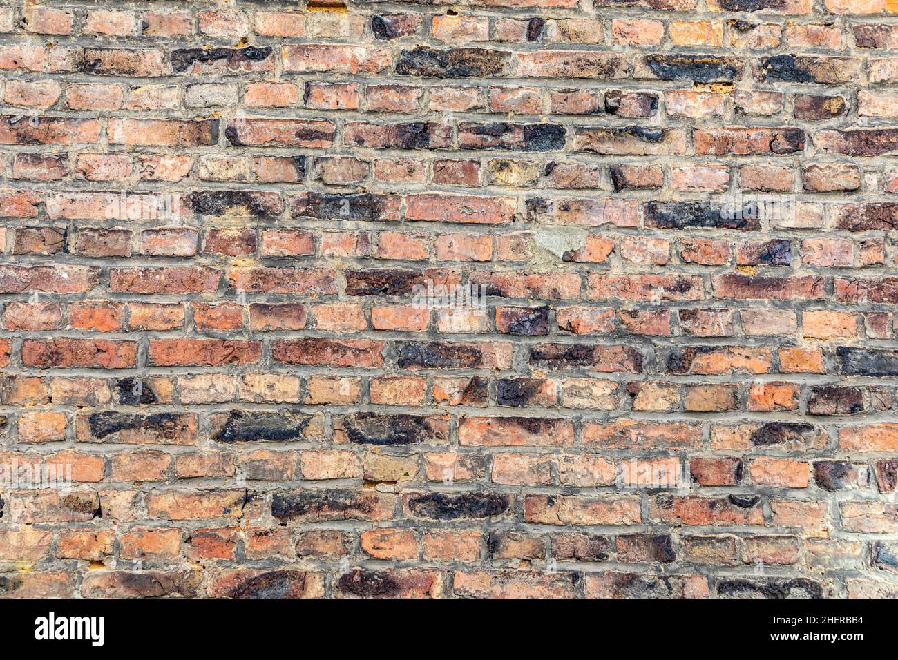 background of old brick wall Stock Photo