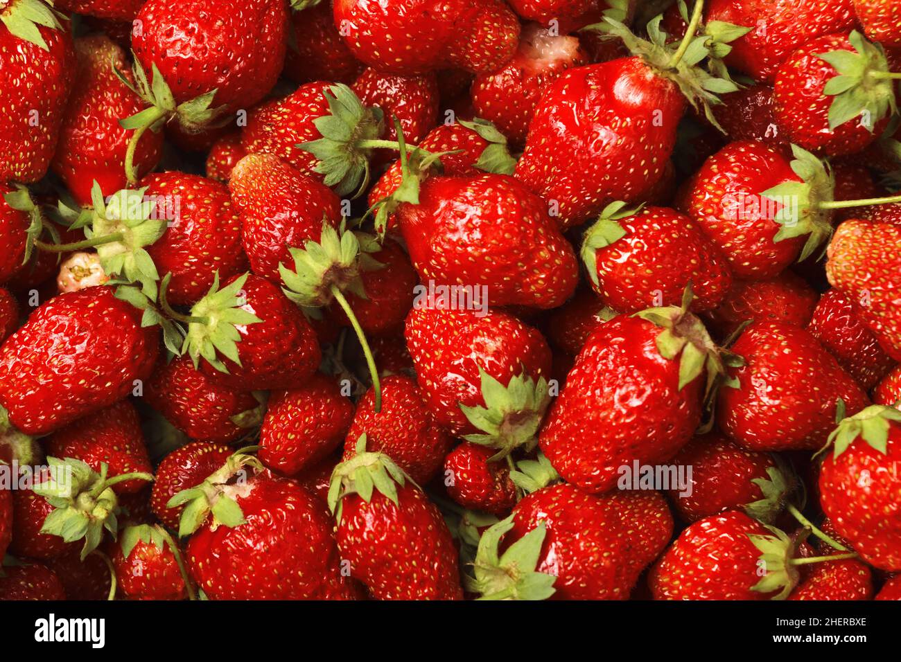 Top view of red ripe fresh strawberries. Food background Stock Photo ...