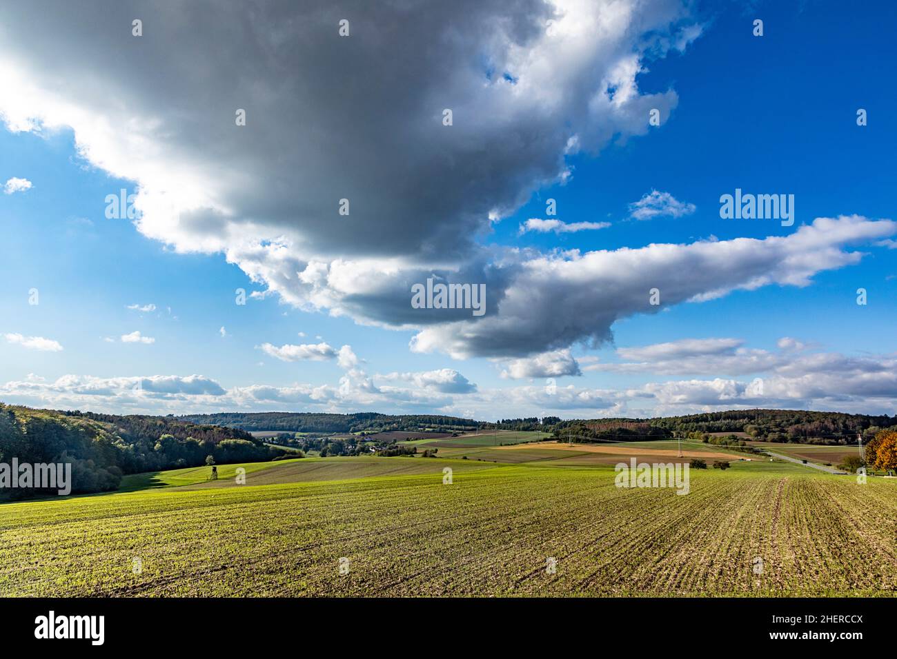 scenic Taunus landscape with forest and fields in beautiful afternoon ...