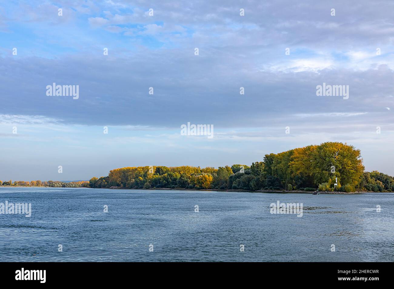 old river Rhine with trees on island in sunset at Nierstein, Germany Stock Photo