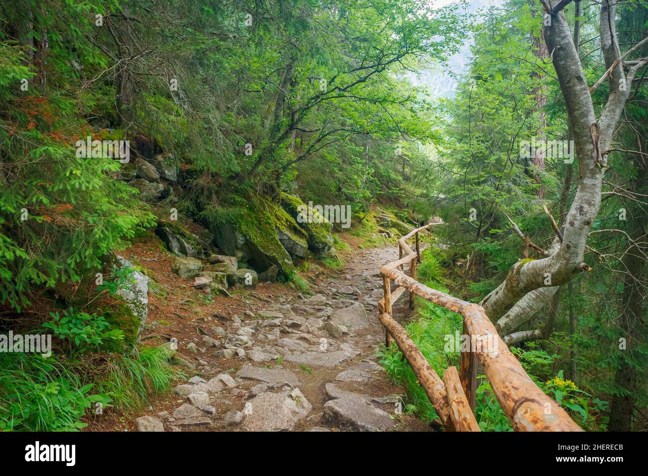 Trail wooden railing footpath hi-res stock photography and images - Alamy