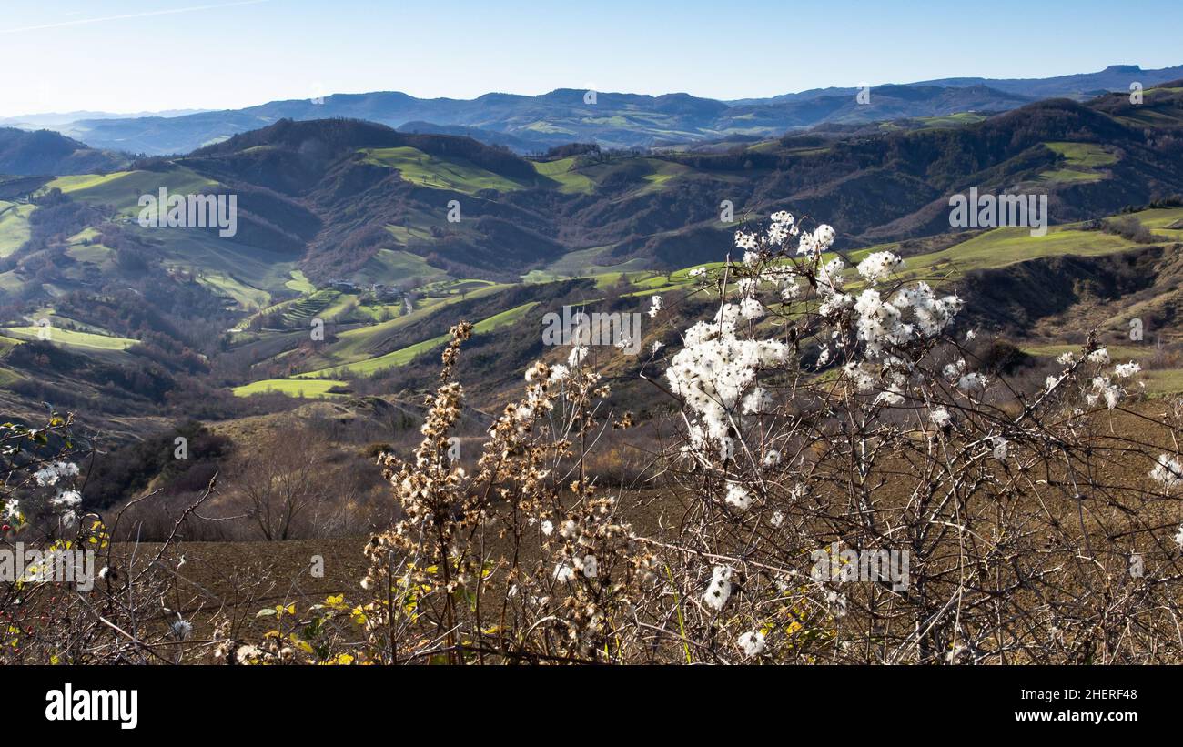 Marche,Val di Teva, Italy - a splendid autumnal view of the hilly landscape  in the historic region of Montefeltro in the province of Pesaro and Urbino  Stock Photo - Alamy
