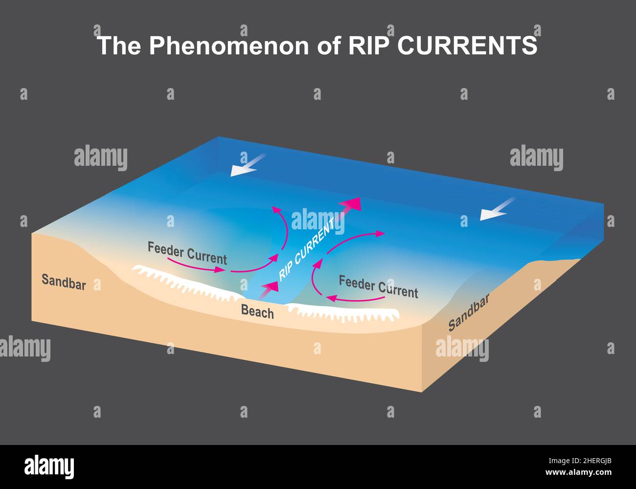 The Phenomenon of RIP CURRENTS. Sea and beach figure for explain The dangerous phenomenal of RIP CURRENTS. Stock Vector