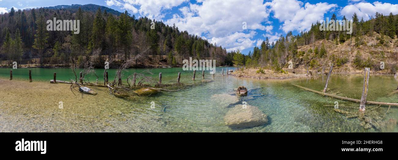 panoram of small plansee with tree stumps in shallow water at spring Stock Photo